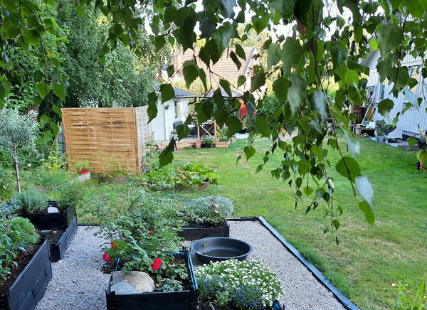 Planterat